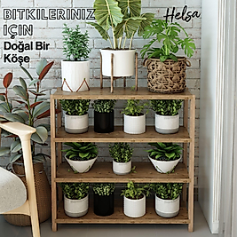 Helsa 4 Katlı Ahşap / Dekoratif Raf / Çok Amaçlı Kullanım (Atlantik Çam)